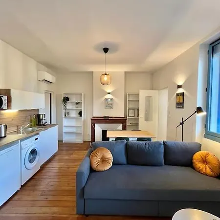 Le Printemps * Bel Appartement Climatise * Hypercentre Toulouse Exterior photo