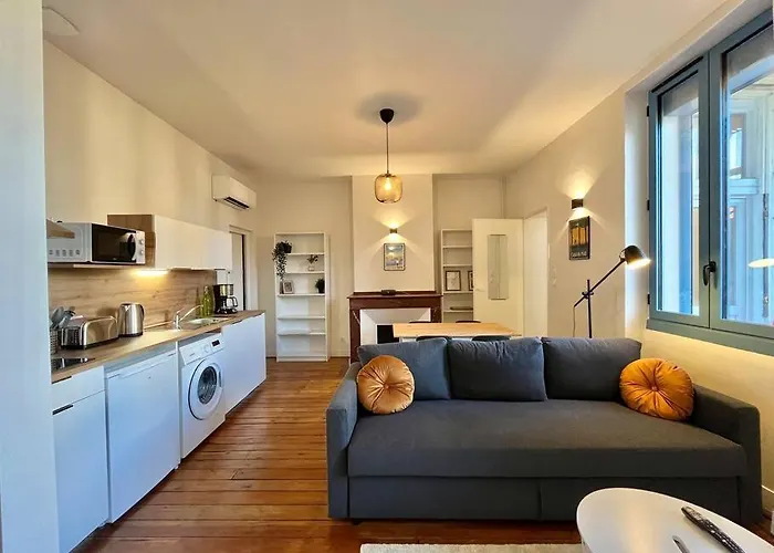 Le Printemps * Bel Appartement Climatise * Hypercentre